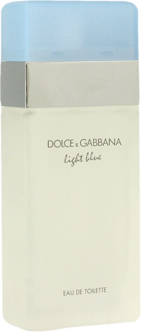 light blue dolce gabbana rossmann.